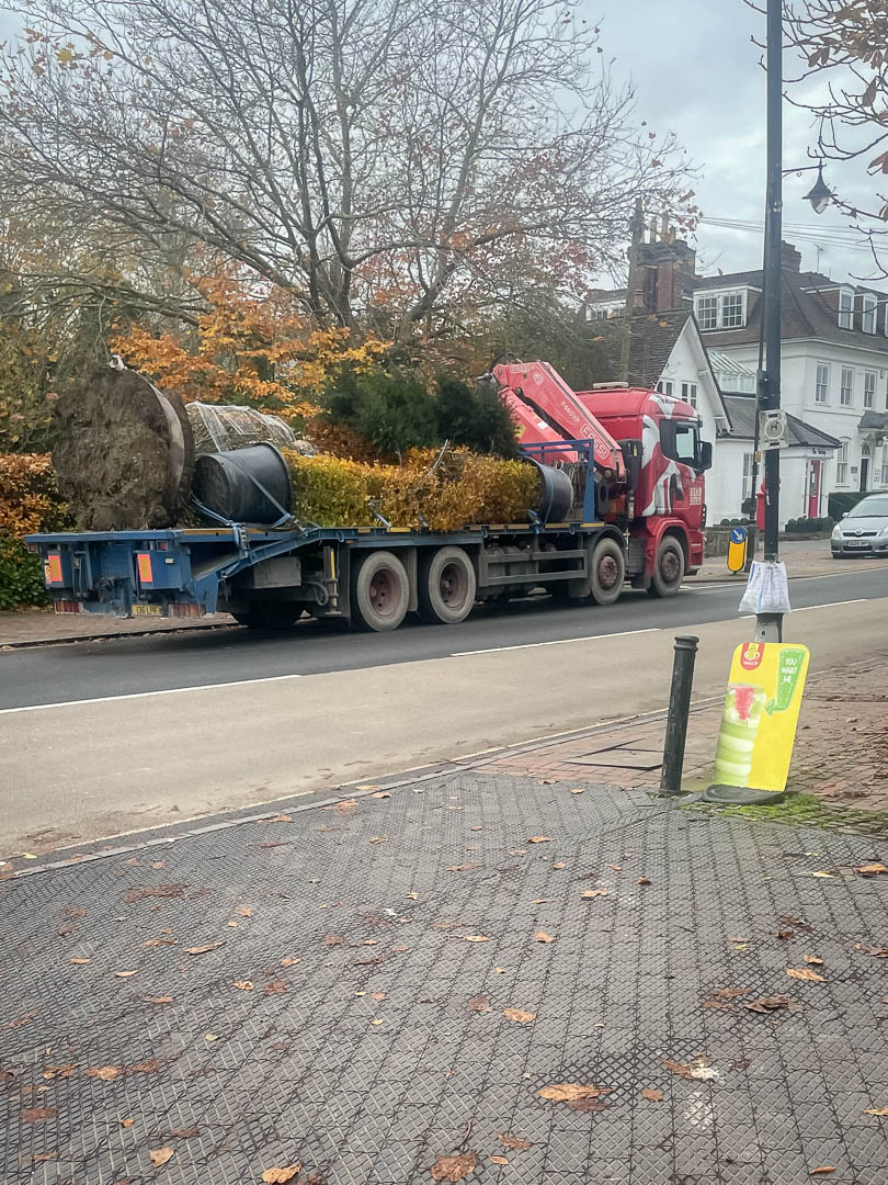 Transporting-Trees-in-Sevenoaks